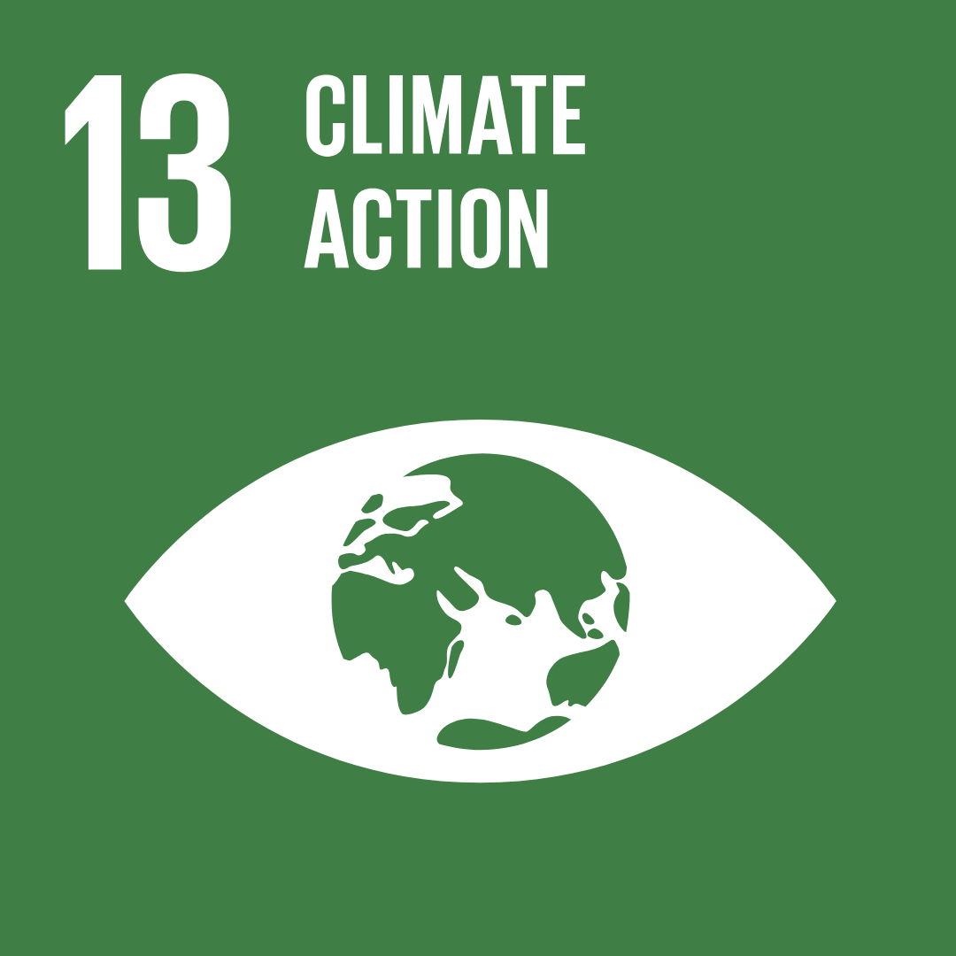 picture of SDG13 icon: Climate action depicted by the globe as the pupil of an eye picture of SDG13 icon: Climate action depicted by the globe as the pupil of an eye
